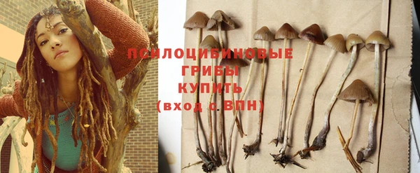 соль ск Волоколамск
