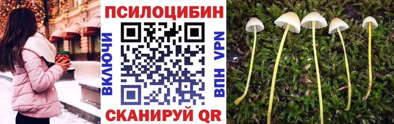 Псилоцибиновые грибы мухоморы  продажа наркотиков  hydra зеркало  Вышний Волочёк 